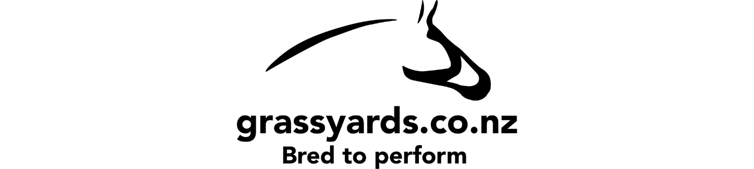 Sponsor